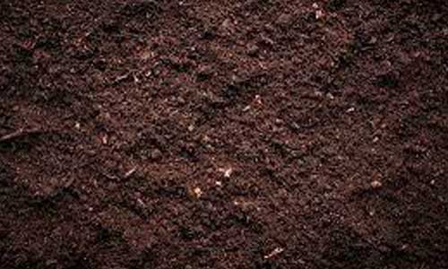 Soil