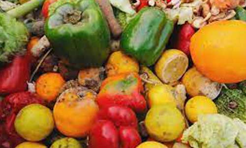 Food Waste